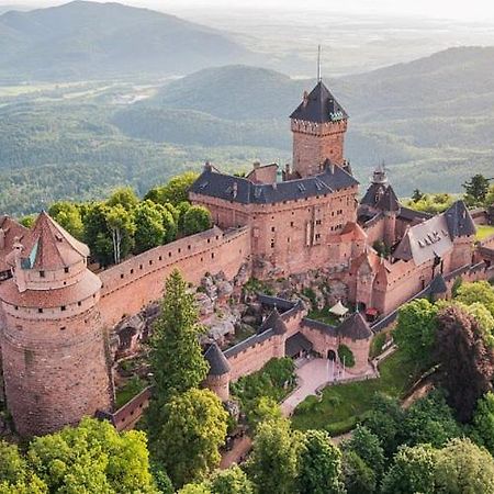 Au Pied Du Chateau Orschwiller Luaran gambar