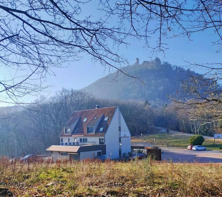 Au Pied Du Chateau Orschwiller Luaran gambar